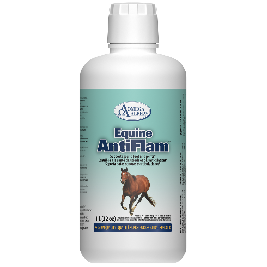 ANTIFLAM™ - Support Feet & Joints