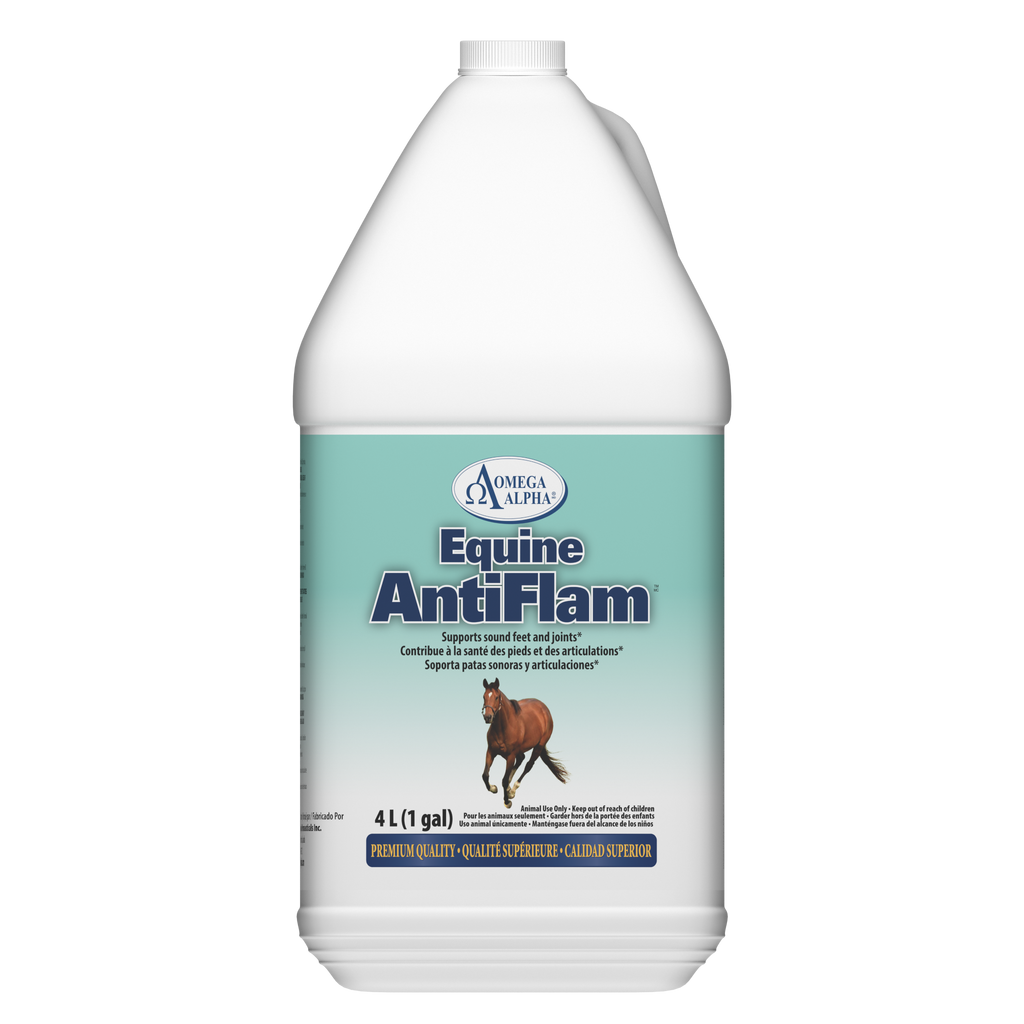 ANTIFLAM™ - Support Feet & Joints