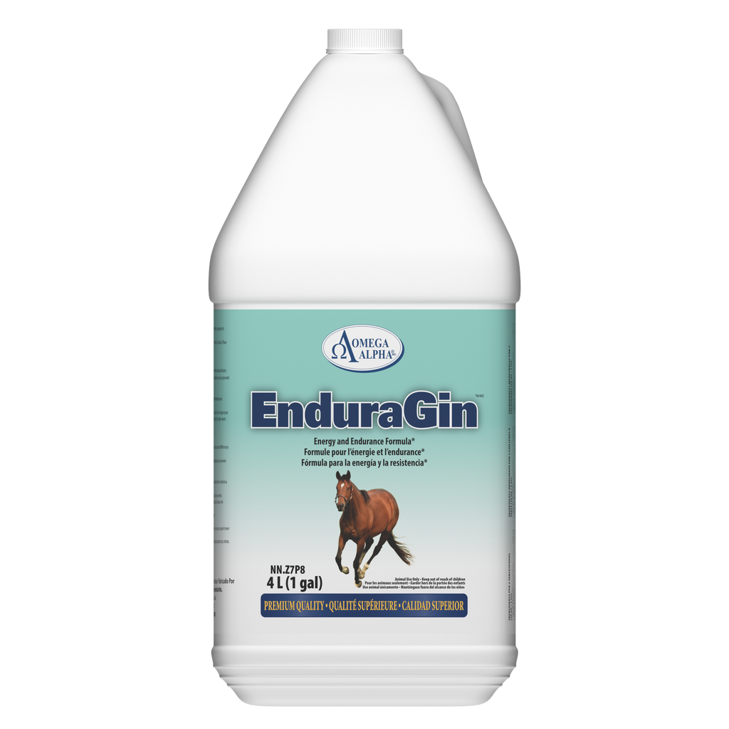 ENDURAGIN™