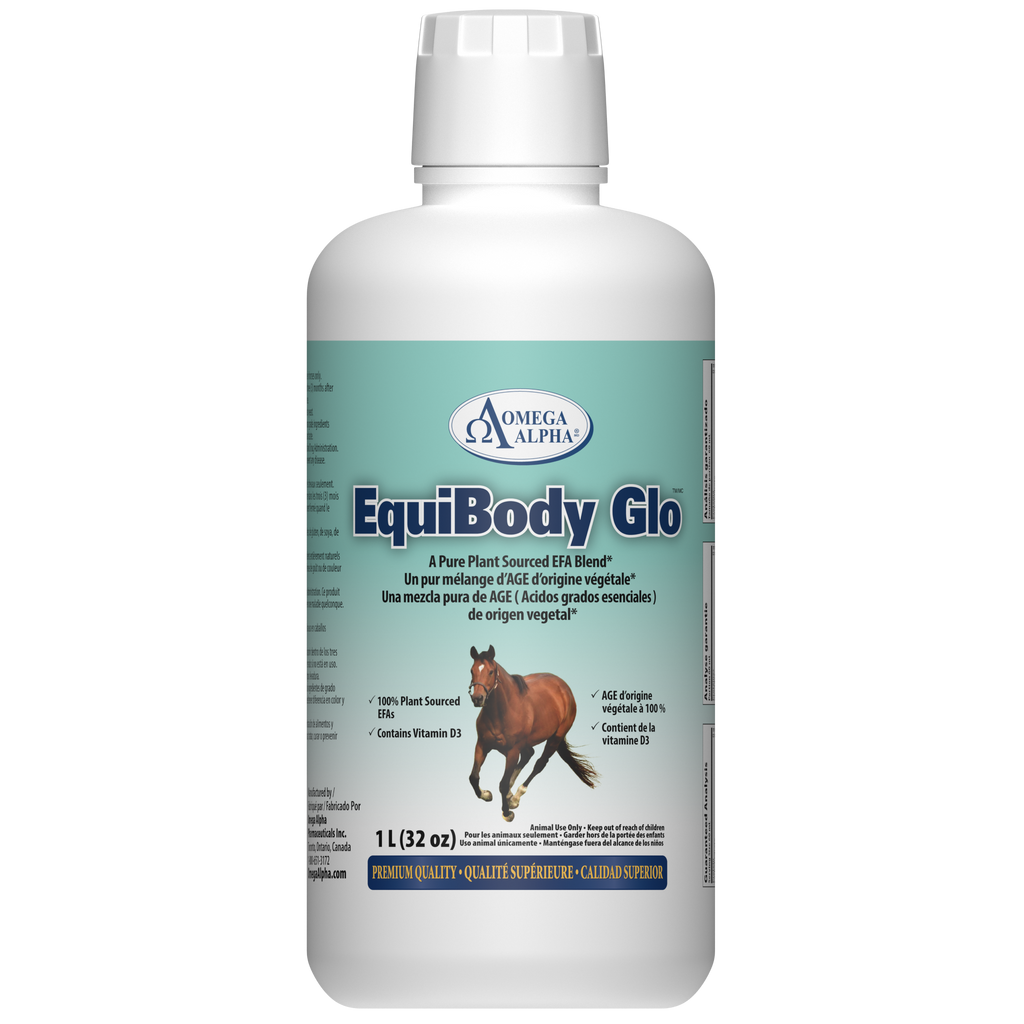 EQUIBODY GLO™