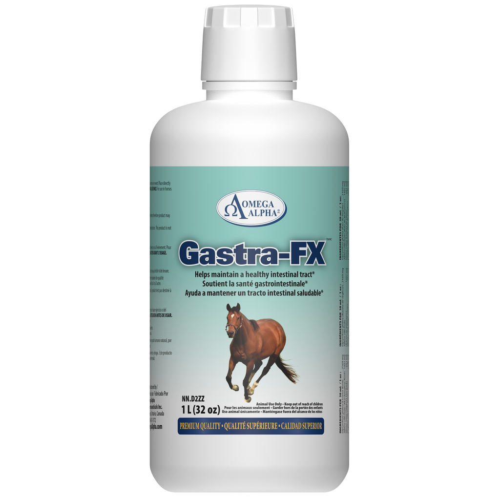 GASTRA-FX™