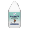 GASTRA-FX™
