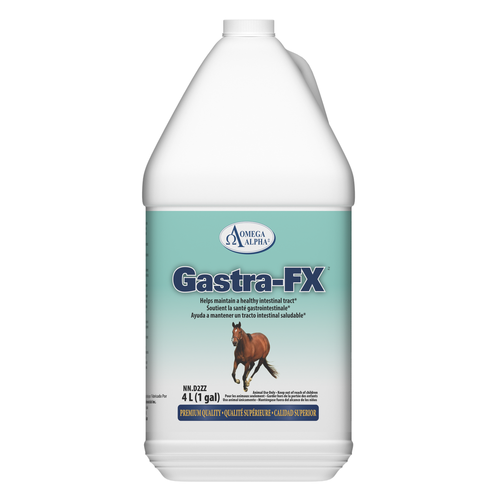 GASTRA-FX™