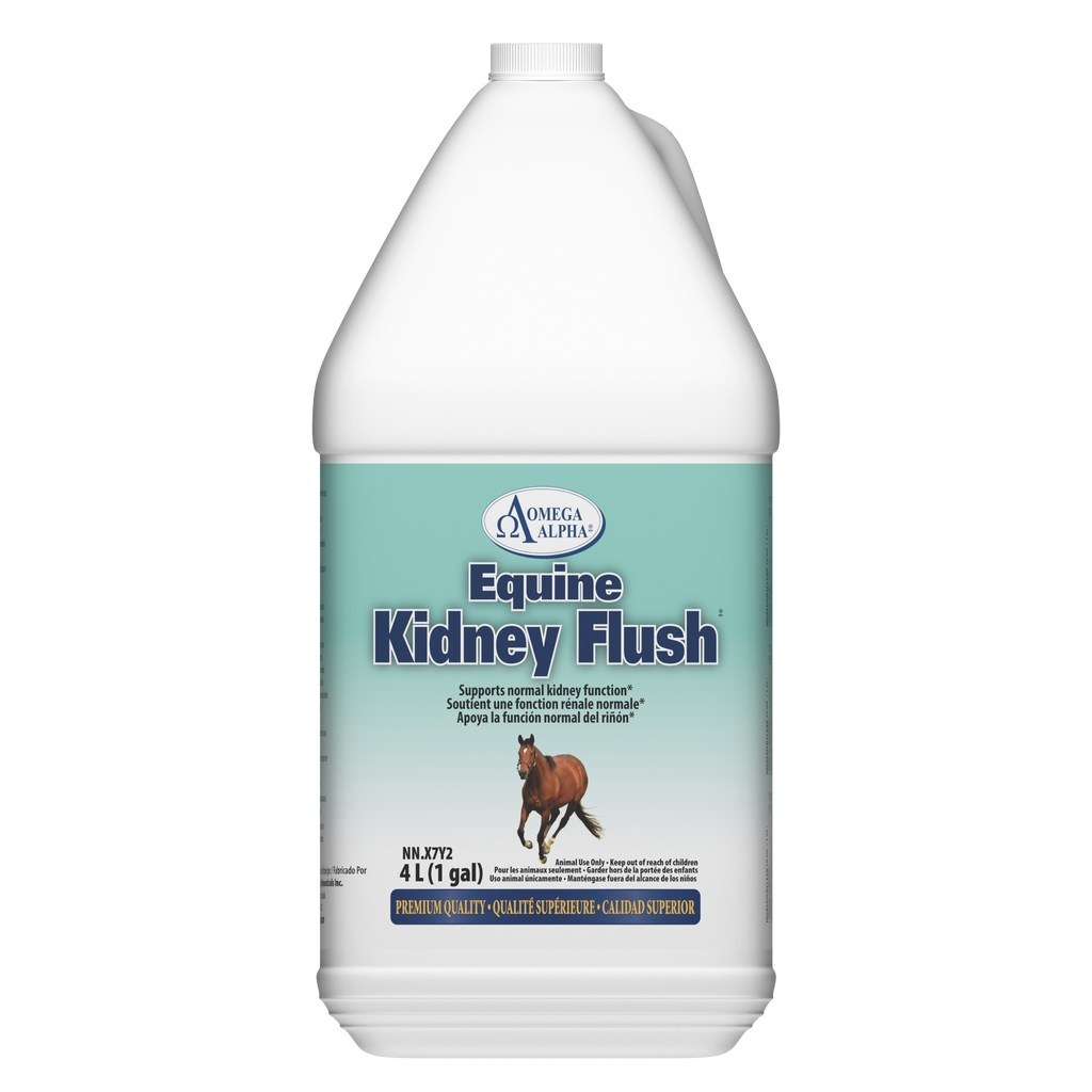 EQUINE KIDNEY FLUSH®