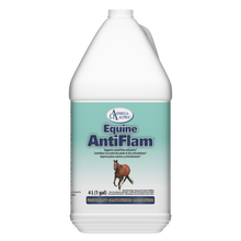 ANTIFLAM™ - Support Feet & Joints