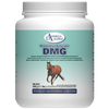DMG - Dimethylglycine 500g