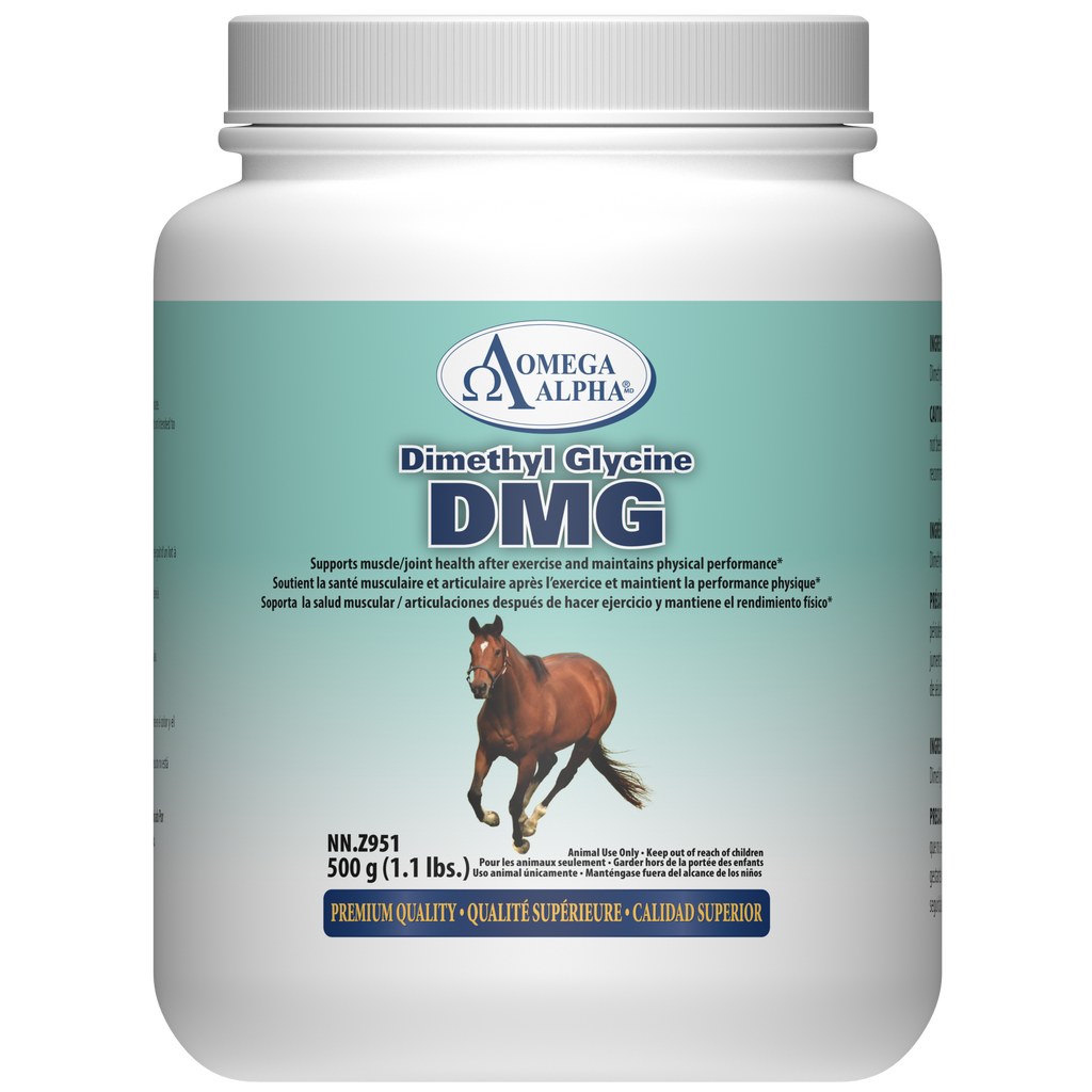 DMG - Dimethylglycine 500g