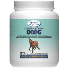 DMG - Dimethylglycine 500g