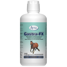 GASTRA-FX™