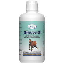 SINEW-X™